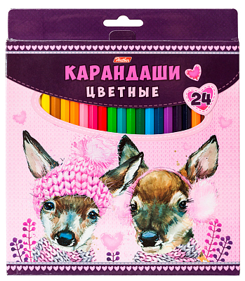 Карандаши "Hatber", 24 цвета, серия "Мягкие и пушистые", в картонной упаковке
