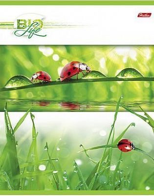 Тетрадь 96л А5ф клетка на скобе серия -Bio Life-