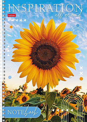 Тетрадь "Hatber", 80л, А4, линия, на гребне, серия "Вдохновение"