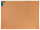 Доска пробковая "Hatber", 90x120см, серия "Premium", кнопки в комплекте