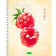 Тетрадь "Hatber Eco", 80л, А5, клетка, на спирали, серия "Fruit Style"