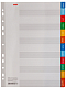 Набор картонных разделителей листов "Hatber", А4, 12л, "Январь-Декабрь", в плёнке
