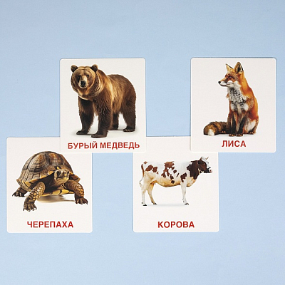 Игра обучающая "Hatber", 60 карточек, 90x110мм, серия "Развивающие карточки: Малышковая академия - Животный мир", в картонной упаковке