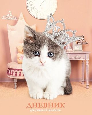 Дневник для 1-4 классов "BG" 48л А5 твёрдый переплёт "Котёнок в короне", ламинация