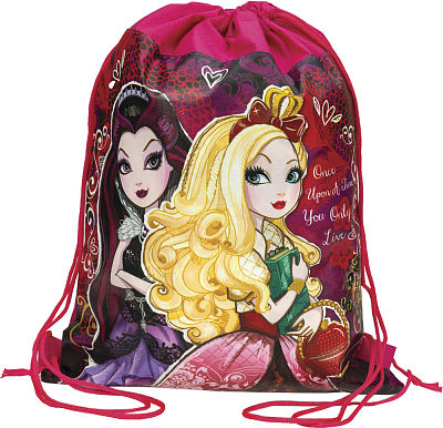 Мешок для обуви "Centrum", 27x35см, 210 ден, полиэстер, серия "Ever After High"