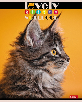Тетрадь "Hatber", 60л, А5, клетка, на скобе, серия "Все любят котиков"