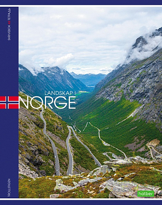 Тетрадь "Hatber Eco", 48л, А5, клетка, на скобе, серия "Nord"