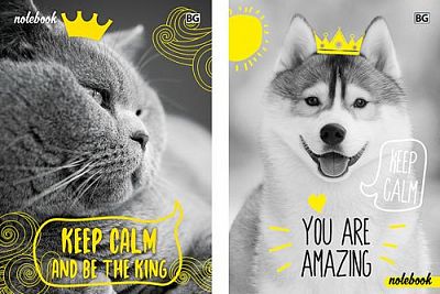 Бизнес-блокнот "BG" 64л А6 "Keep calm" (ассорти), клетка, матовая ламинация, выборочный лак