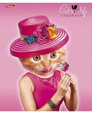 Тетрадь "Hatber", 48л, А5, клетка, на скобе, серия "Cat's Life"