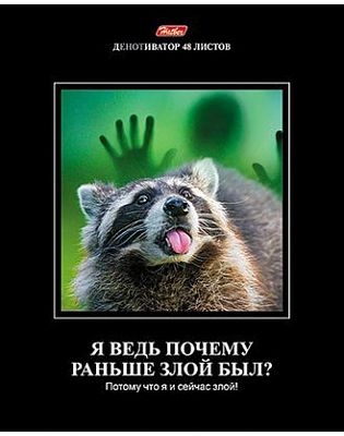 Тетрадь "Hatber", 48л, А5, клетка, на скобе, серия "Демотиваторы №11"