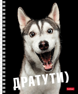 Тетрадь "Hatber", 48л, А5, клетка, на гребне, серия "Привет"