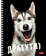 Тетрадь "Hatber", 48л, А5, клетка, на гребне, серия "Привет"