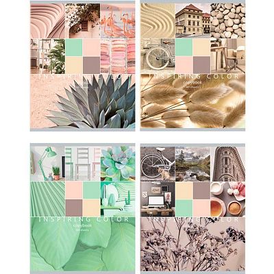 Тетрадь общая "BG", 60л, А5, клетка, на скобе, серия "Inspiring Color"