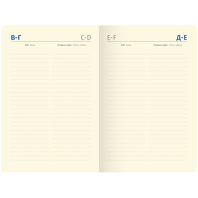 Ежедневник недатированный "Berlingo", 160л, B6, полноцветный срез, серия "Spring - Синий"