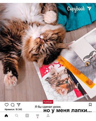 Тетрадь "Hatber", 48л, А5, клетка, на скобе, серия "Но у меня лапки №1"