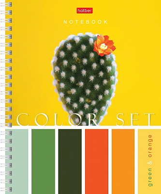 Тетрадь "Hatber", 80л, А5, клетка, на гребне, серия "Color Set"