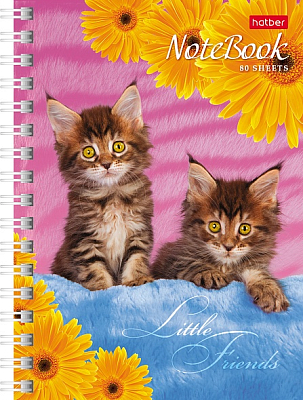 Записная книжка "Hatber", 80л, А6, на гребне, серия "Милые котята"