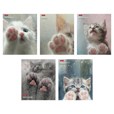 Тетрадь "Hatber", 48л, А5, клетка, на скобе, серия "Розовые лапки"