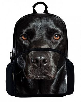 Рюкзак "Hatber HD", серия "Trend Line Labrador"