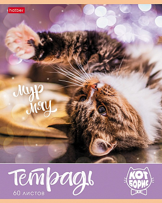 Тетрадь "Hatber", 60л, А5, клетка, на скобе, серия "Кот Борис"