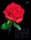 Тетрадь "Hatber", 96л, А5, клетка, 3D лак и фольга, ламинация, на скобе, серия "Roses on Black"