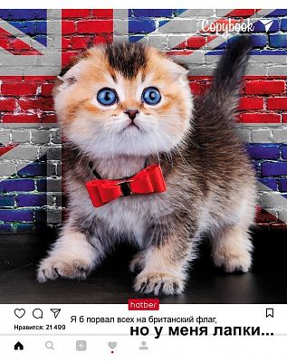 Тетрадь "Hatber", 48л, А5, клетка, на скобе, серия "Но у меня лапки №1"