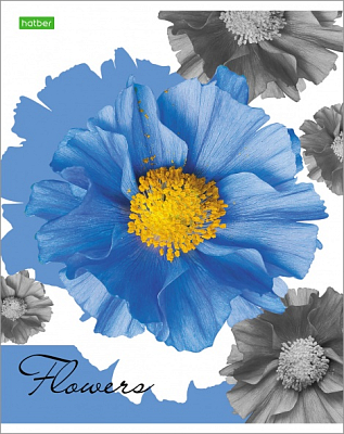 Тетрадь "Hatber Eco", 96л, А5, клетка, на скобе, серия "Flower"