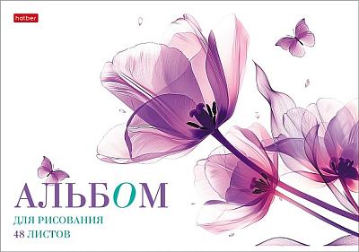 Альбом для рисования "Hatber", 48л, А4, пластиковая обложка с печатью, на скобе, серия "Ассорти №1"