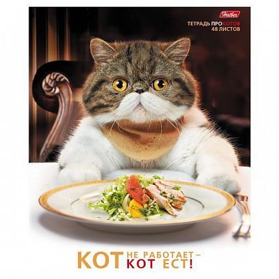 Тетрадь "Hatber", 48л, А5, клетка, скруглённые углы, на скобе, серия "Котоприколы"