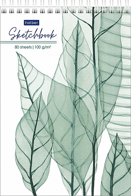 Скетчбук "Hatber Premium", 80л, А5, без линовки, твёрдая подложка, на гребне, серия "Листья"