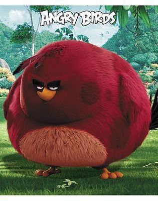 Тетрадь "Hatber", 48л, А5, клетка, лак, на скобе, серия "Angry Birds Movie №1"