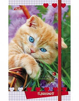 Записная книжка "Hatber", 80л, А6, твердая обложка, на резинке, на гребне, серия "Милые Котята"