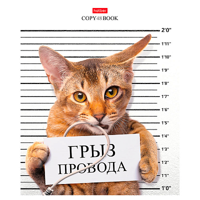 Тетрадь "Hatber", 48л, А5, клетка, на скобе, серия "Кот-обормот"