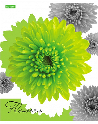 Тетрадь "Hatber Eco", 96л, А5, клетка, на скобе, серия "Flower"