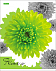 Тетрадь "Hatber Eco", 96л, А5, клетка, на скобе, серия "Flower"