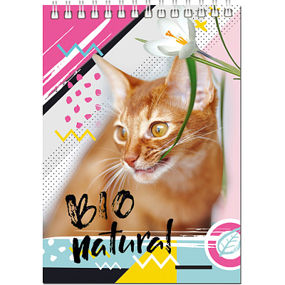 Блокнот "BG", 40л, А6, клетка, на гребне, серия "Милый кот"