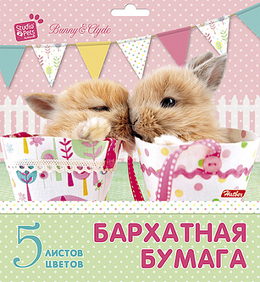 Набор цветной бархатной бумаги "Hatber", 5л, 5цв, А5, в папке, серия "Очаровашки"