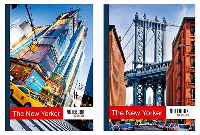 Бизнес-блокнот "BG" 80л А5 "New Yorker" (ассорти), твёрдый переплёт, клетка, ламинация, лак