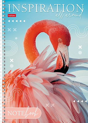 Тетрадь "Hatber", 80л, А4, линия, на гребне, серия "Вдохновение"