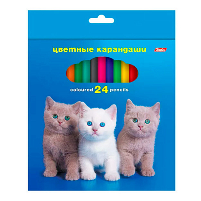 Карандаши "Hatber", 24 цвета, серия "Любимцы", в картонной упаковке