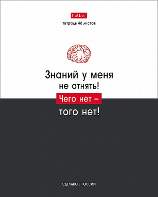 Тетрадь "Hatber", 48л, А5, клетка, на скобе, серия "Люблю школу"