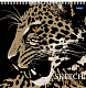 Скетчбук "Hatber Premium", 30л, 15л крафт/15л чёрный офсет, 240x240мм, без линовки, жёсткая подложка, на гребне, серия "Леопард-