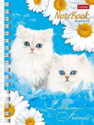 Записная книжка "Hatber", 80л, А6, на гребне, серия "Милые котята"