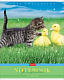 Тетрадь "Hatber", 48л, А5, клетка, на скобе, серия "Усы, лапы, хвост"