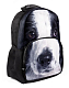 Рюкзак "Hatber HD", 43,5x30x11см, флис, 2 отделения, 2 кармана, серия "Trend Line - Puppy"