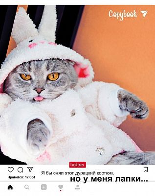 Тетрадь "Hatber", 48л, А5, клетка, на скобе, серия "Но у меня лапки №1"