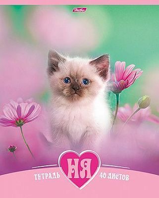 Тетрадь "Hatber", 40л, А5, клетка, на скобе, серия "Котята НЯ"