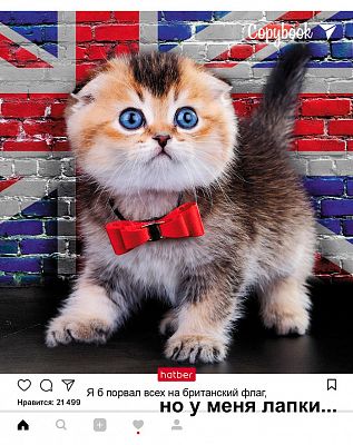Тетрадь "Hatber", 48л, А5, клетка, на скобе, серия "Но у меня лапки №1"