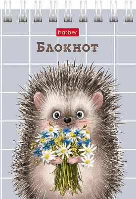 Блокнот "Hatber", 40л, А7, клетка, обложка мелованный картон, на гребне, серия "Хорошо быть ёжиком"