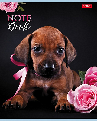 Тетрадь "Hatber", 60л, А5, клетка, на скобе, серия "Наши пёсики"